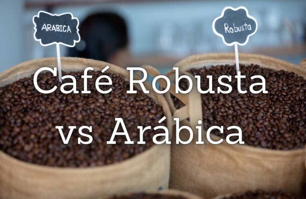 Café Robusta vs Arábica: Descubra Agora as 5 Diferenças Essenciais que Impactam Seu Paladar